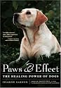 Paws & Effect: The Healing Power of Dogs