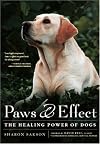 Paws & Effect