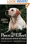 Paws & Effect: The Healing Power of Dogs