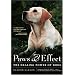 Paws & Effect: The Healing Power of Dogs