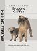Brussels Griffon (Comprehensive Owner's Guide)