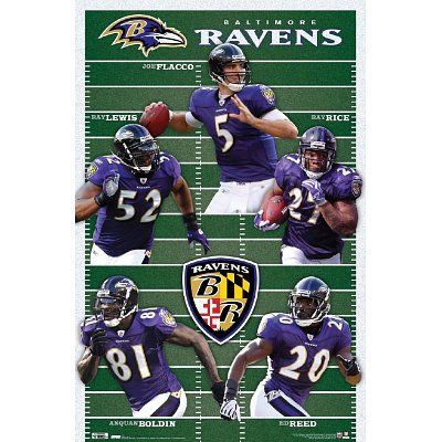 Ravens - Team 10 Poster 22