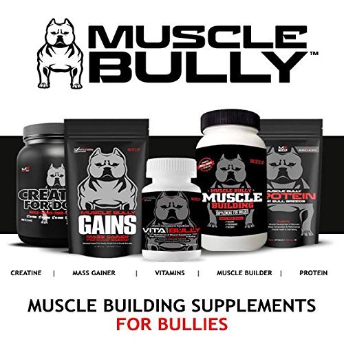 Galleon Vita Bully Supplement For Bully Breeds Pit Bulls, American