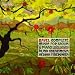 Ravel: Complete Music For Violin And Piano; Lekeu: Violin Sonata