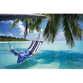 Tropical Beach (Hammock Under Tree) Art Poster Print - 24
