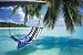 Tropical Beach (Hammock Under Tree) Framed Art Poster Print - 24" X 36"