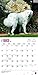 Great Pyrenees 2016 Calendar
