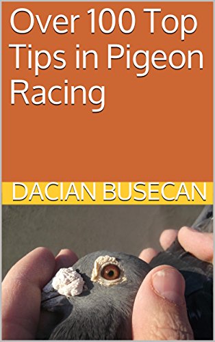 Over 100 Top Tips in Pigeon Racing