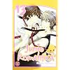 Junjo Romantica, Band 13