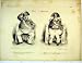 French Antique Print Soldier Facial Expressions Chair