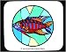 Mouse Pad with macropodus, stained, opercularis, fish, glass