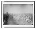 Historic Print (S): [Russian soldiers guarding Siberian exiles: convicts, women, and children]