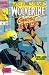 Marvel Comics Presents #66 : Wolverine, Ghost Rider, Poison, Fantastic Four, & Volstagg (Marvel Comics)