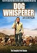Dog Whisperer S1 Comp [Import]