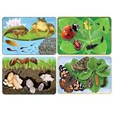 Giant Life Cycle Foam Floor Puzzles