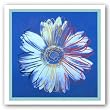 Daisy, c. 1982 (blue on blue) by Andy Warhol 13.75"x13.75" Art Print Poster