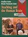 Teaching and the Human Brain Video with Other