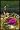 The Legend of Zelda: Spirit Tracks