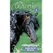 Midnight Mystery (Winnie the Horse Gentler #4)