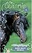 Midnight Mystery (Winnie the Horse Gentler #4)