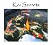 51ZiLgdA01L. SL75  The Importance of Koi Care