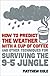 How to predict the weather with a cup of coffee : and other techniques for surviving the 9-to-5 jungle