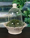 Terrariums