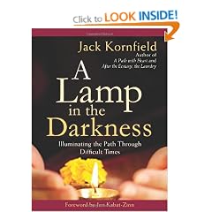 A Lamp in the Darkness: Illuminating the Path Through Difficult Times