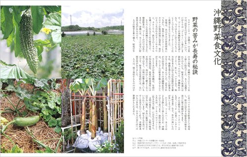 Cover image : からだにおいしい 野菜の便利帳