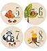 Baby Milestone Stickers by ZELDA MATILDA Gorgeous Woodland Critters Monthly Growth Bodysuit Stickers Beautiful and Original 16 Piece - 4 Inch Sticker Set for Clothing - A Must Have for Baby Pictures!