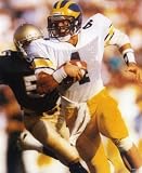 JIM HARBAUGH MICHIGAN WOLVERINES 8X10 HIGH GLOSSY SPORTS ACTION PHOTO (L)