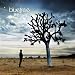 Bluetree