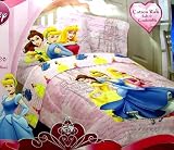 Disney Princess Dear Diary Twin Comforter