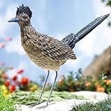 Roadrunner Garden