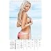 Maxim 2016 Poster Calendar by Trends International