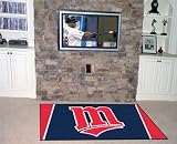 Minnesota Twins 4x6 Area Rug