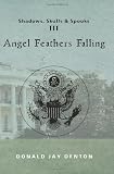 Shadows, Skulls and Spooks III: Angel Feathers Falling