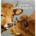 Tout sur la vache des montagnes