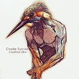 Cardinal Skin