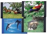 Eigenschaften Schreibunterlage / Schreibunterlage 68x44 verschiedene Tiermotive