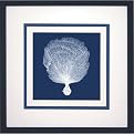 Shells on Blue A Wall Art - 18x18"