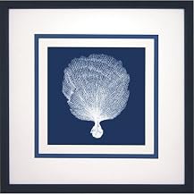 Shells on Blue A Wall Art - 18x18"