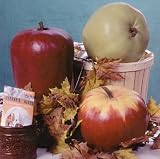 Apple Gourd 12 Seeds