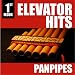 Search : Elevator Hits, 1st Floor: Panpipes