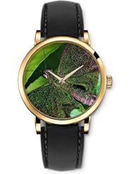 SPRAWL Aanalog Fashion Series Gold Ladies Watches of Genuine Black Leather Strap,Unique Wrist Watch for Women Girls Designed with Butterfly with green dots