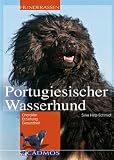 Portugiesischer Wasserhund: Chrarakter, Erziehung, Gesundheit