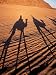 Desert Near Sharm El Sheikh, Sinai, Egypt Photographic Poster Print by Alan Copson, 9x12