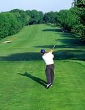 51Zjm sCv9L. SL160  How To Improve Your Swing