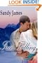 Free Falling [Damaged Heroes, Book 2] (BookStrand Publishing)