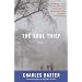 The Soul Thief (Vintage Contemporaries)
